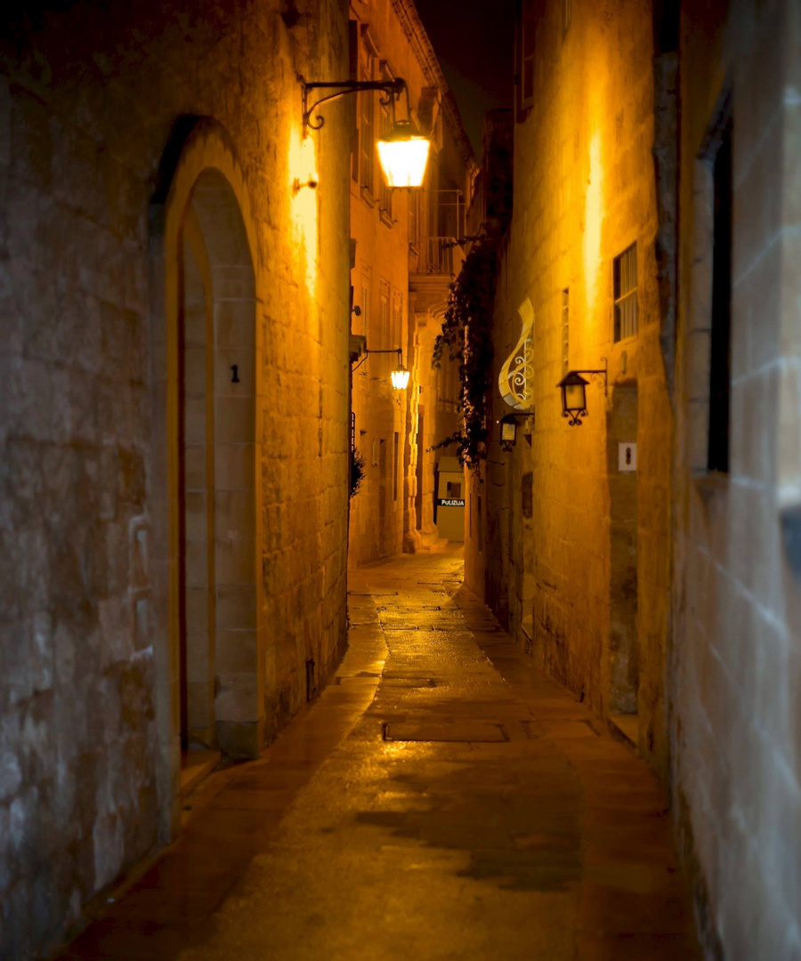 Mdina by night