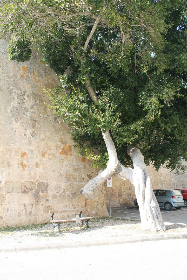 Mdina & Valletta