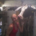 Me and Cow