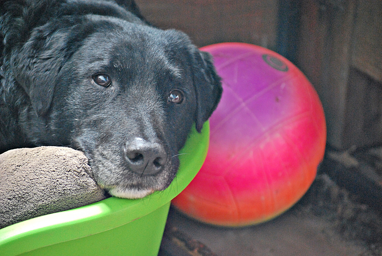 me and my ball...