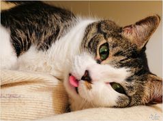 Me and my Little Pink Tongue