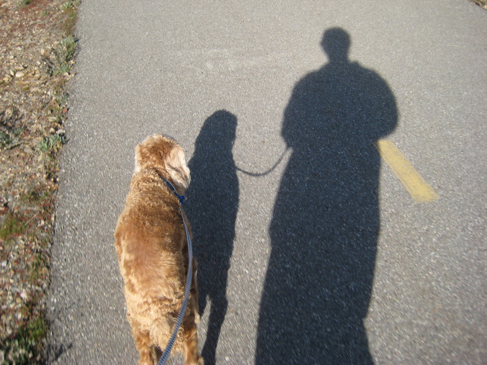 Me & My Shadow