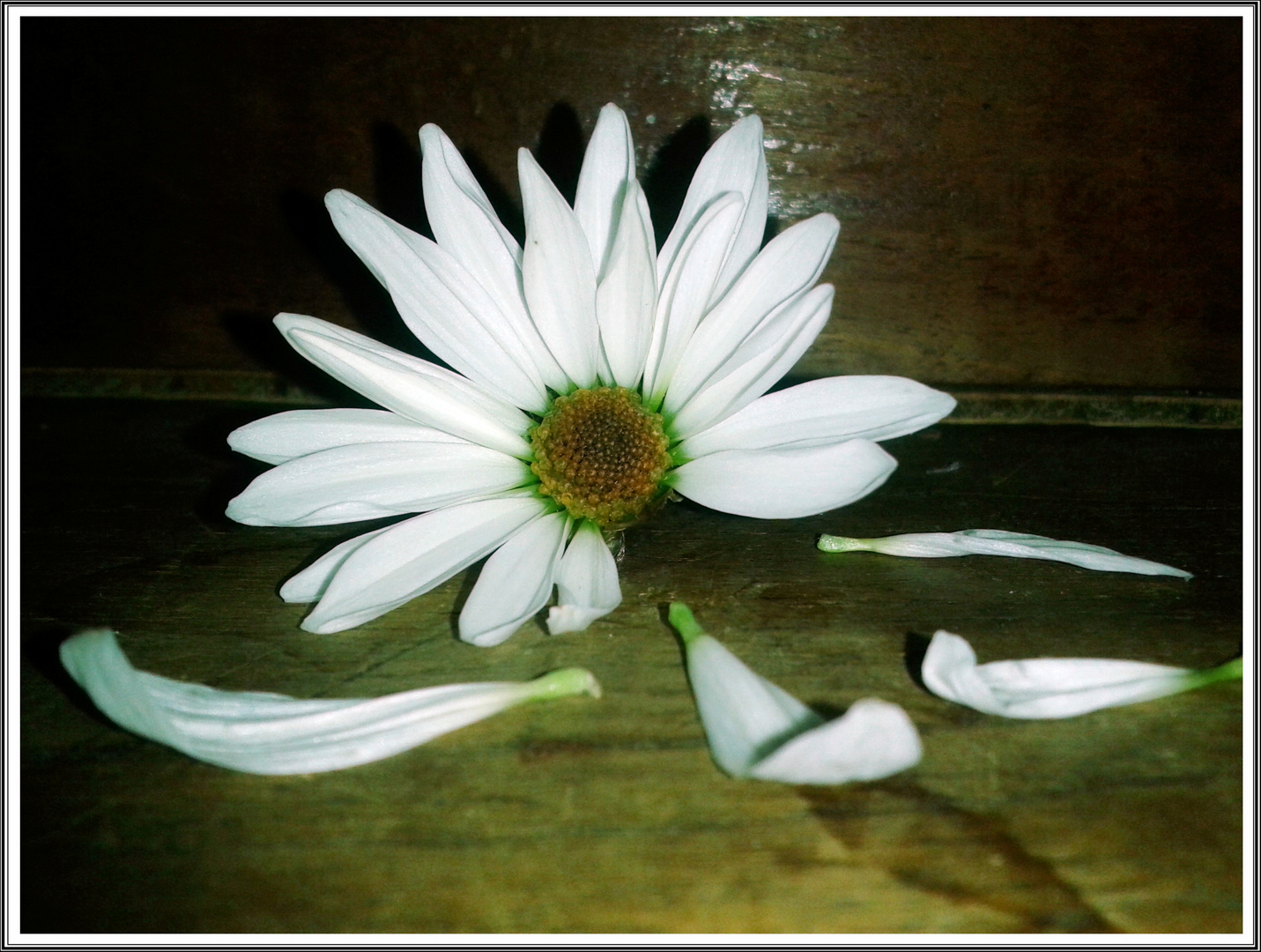 Me quiere, no me quiere...