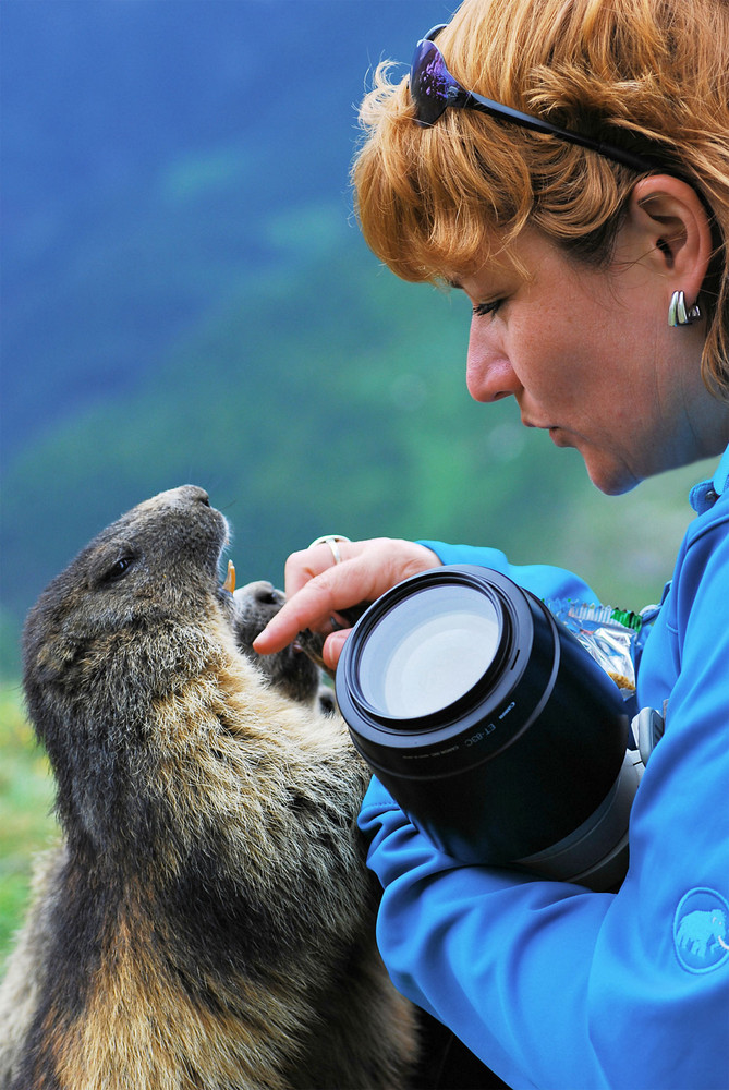 Me & the Marmots