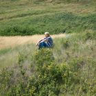 Meadow Meditation