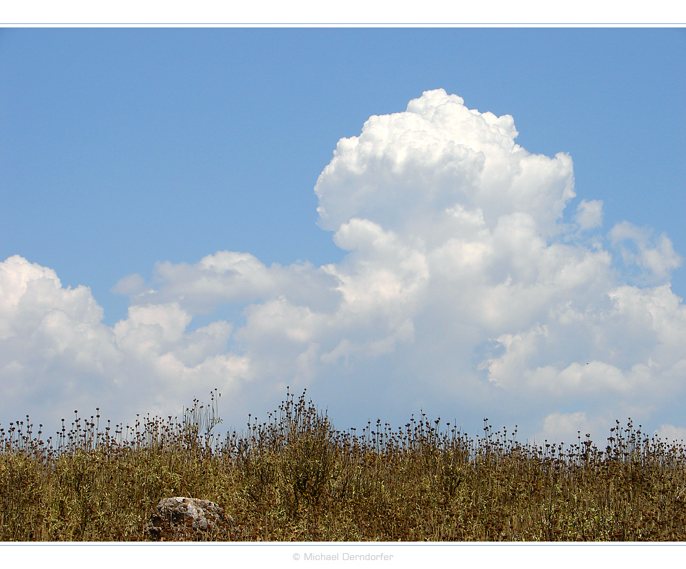 meadow.and.clouds