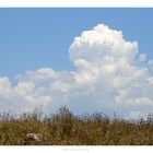 meadow.and.clouds