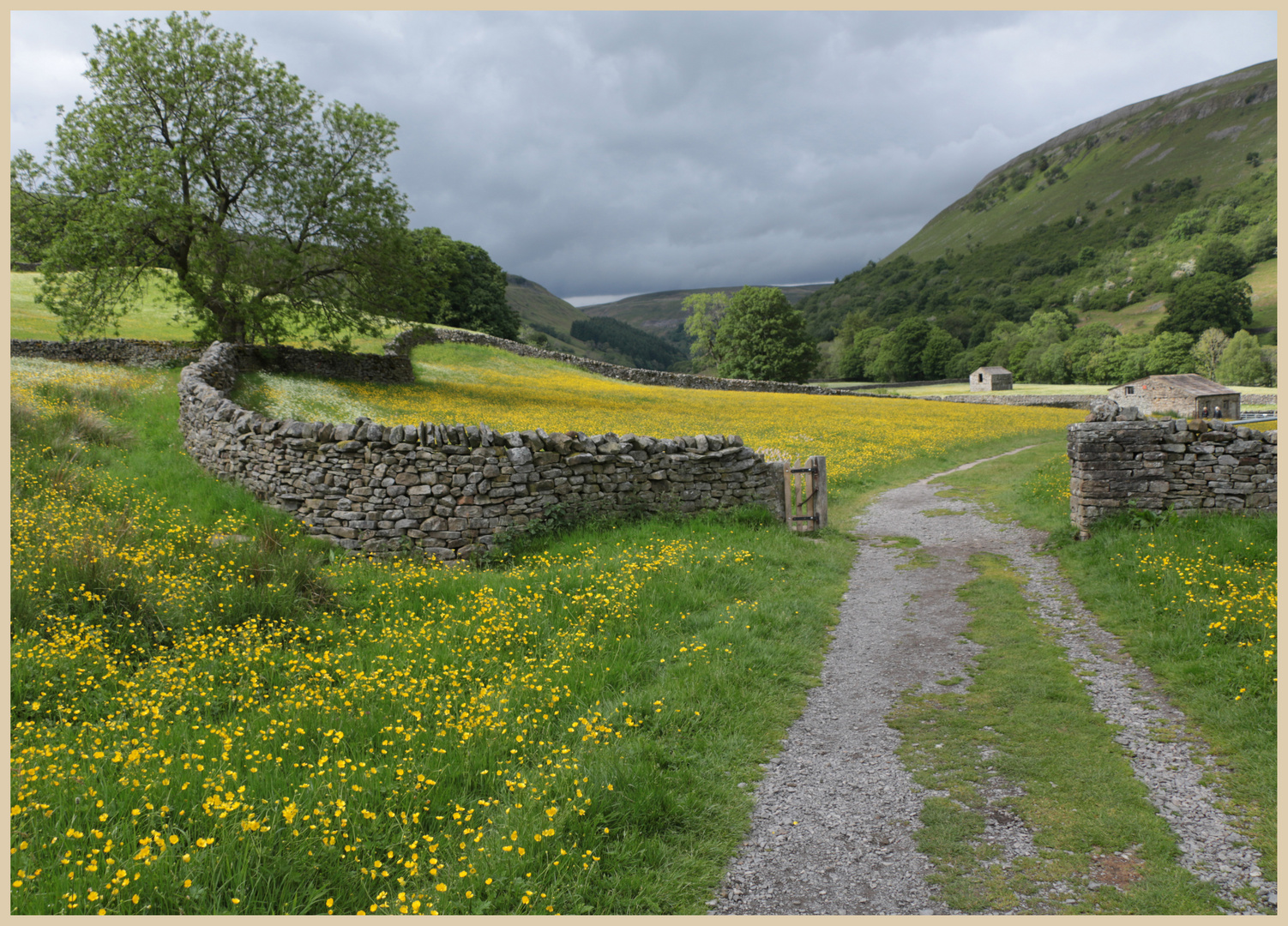 meadows near muker 10