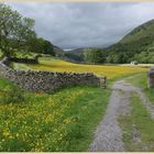 meadows near muker 10