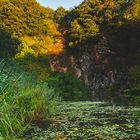 Meadowsweet Farm Gartenteich