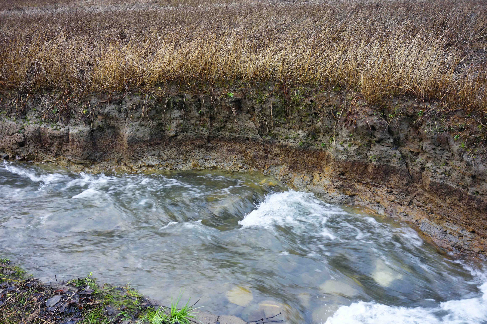 Meander durch Schlammablagerungen im Talsperreneinlauf