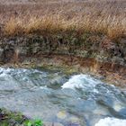 Meander durch Schlammablagerungen im Talsperreneinlauf