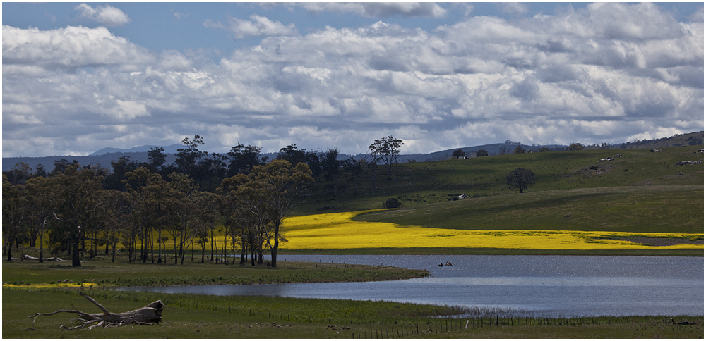 Meander Valley_Tasmanien