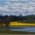 Meander Valley_Tasmanien