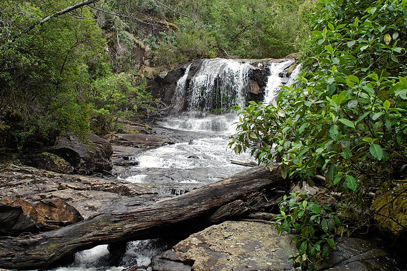 Meander Walk, Tasmania, Australia