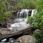 Meander Walk, Tasmania, Australia