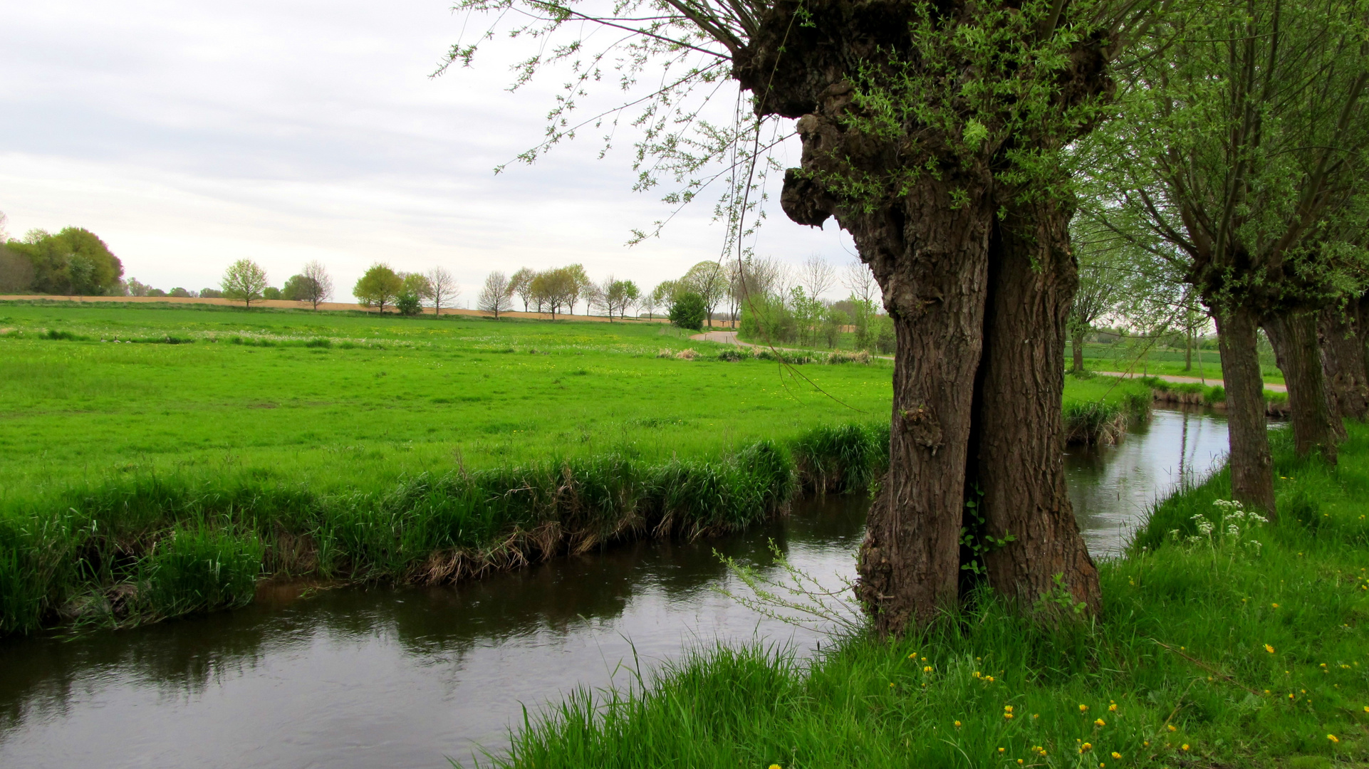 Meanderende Roer, NL