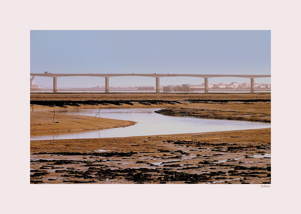 Méandres à marée basse