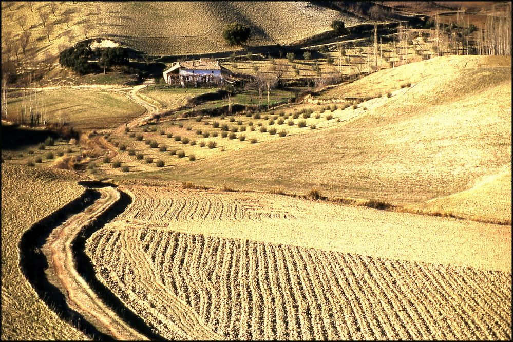 Meandro de R. Manuel Sánchez Garrido 