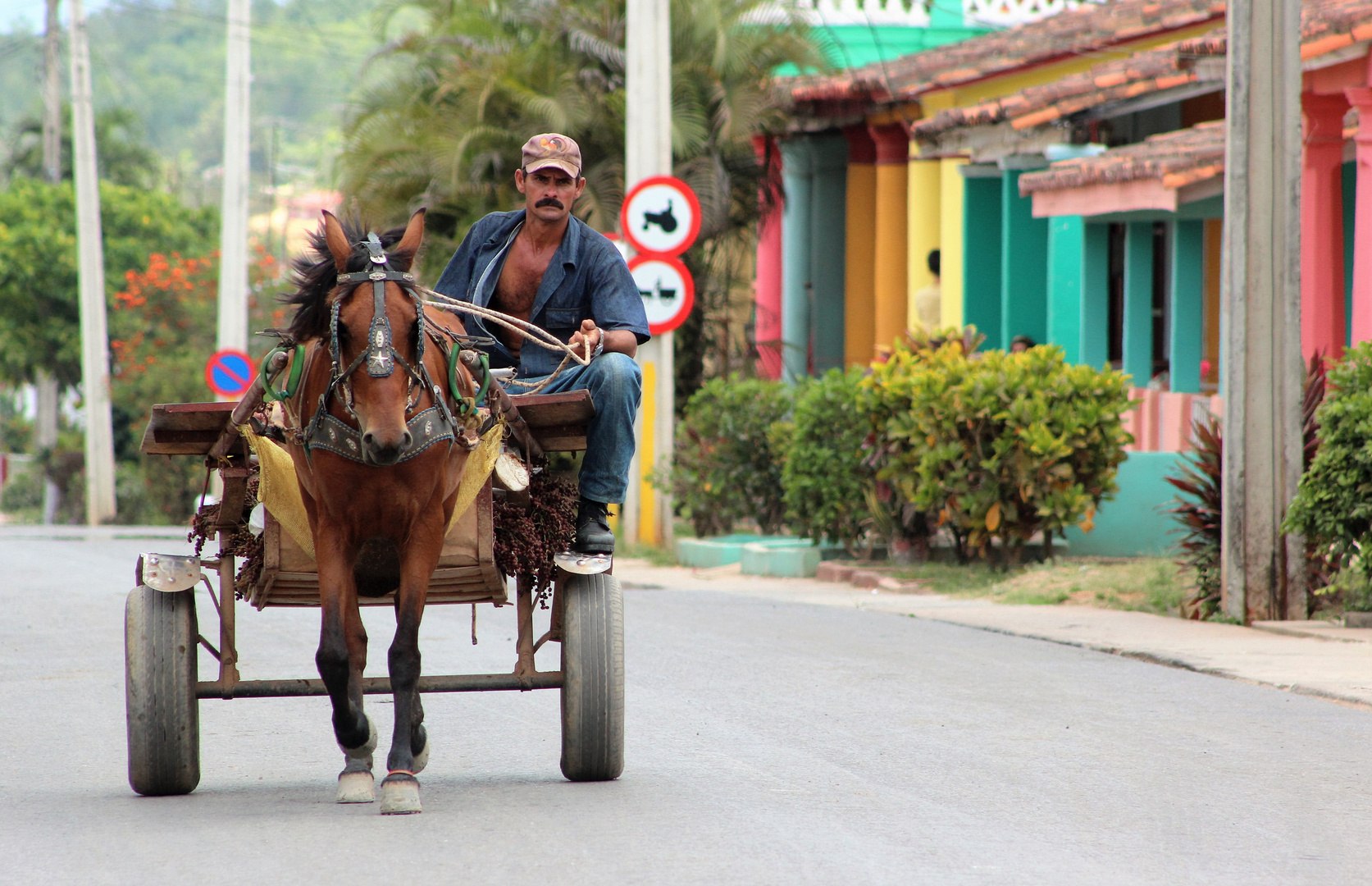 Means of transport