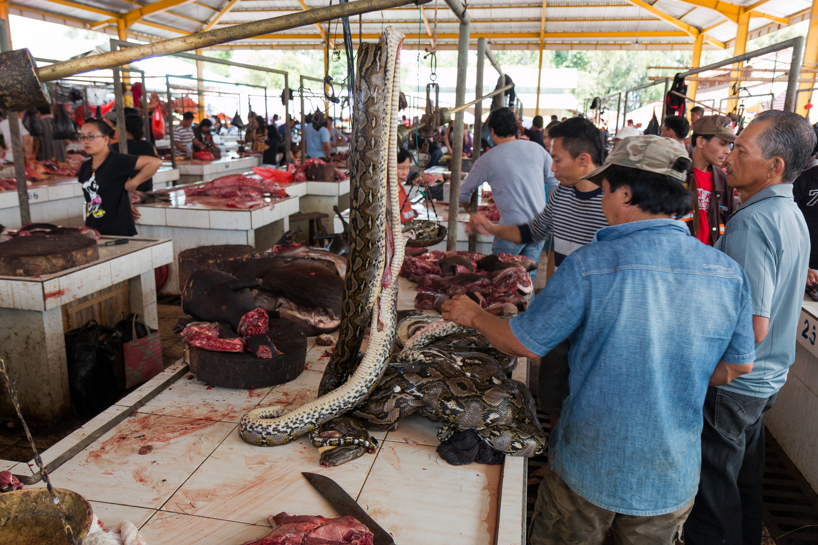 meat section