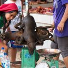 meat shopping