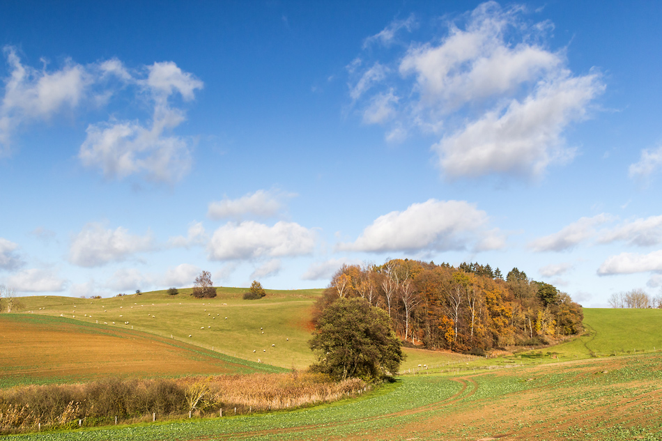 Mecklenburg