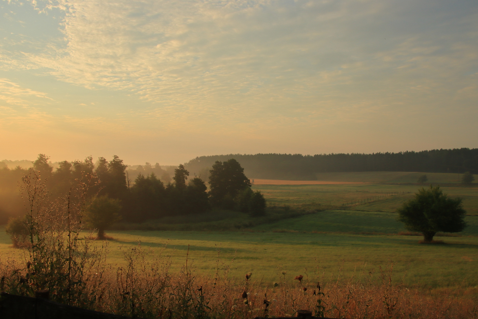 Mecklenburg am Morgen