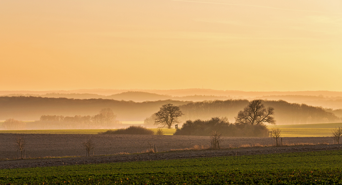 Mecklenburg ....