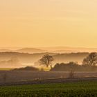 Mecklenburg ....