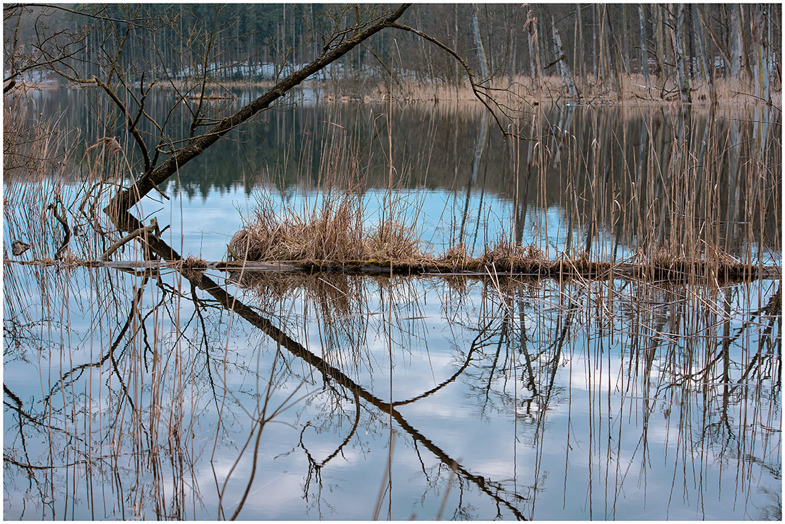 mecklenburg