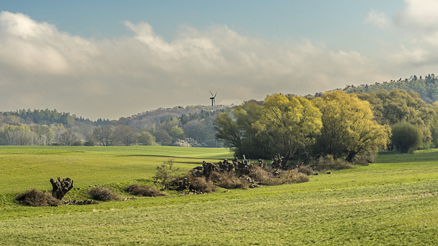 _Mecklenburg im Frühling