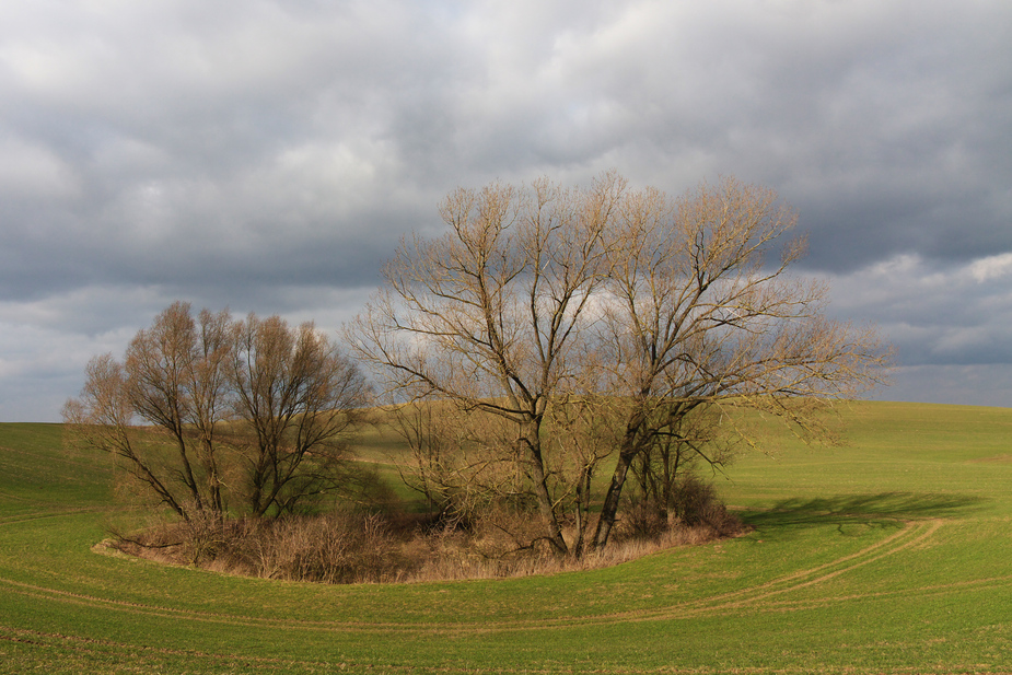 Mecklenburg im März