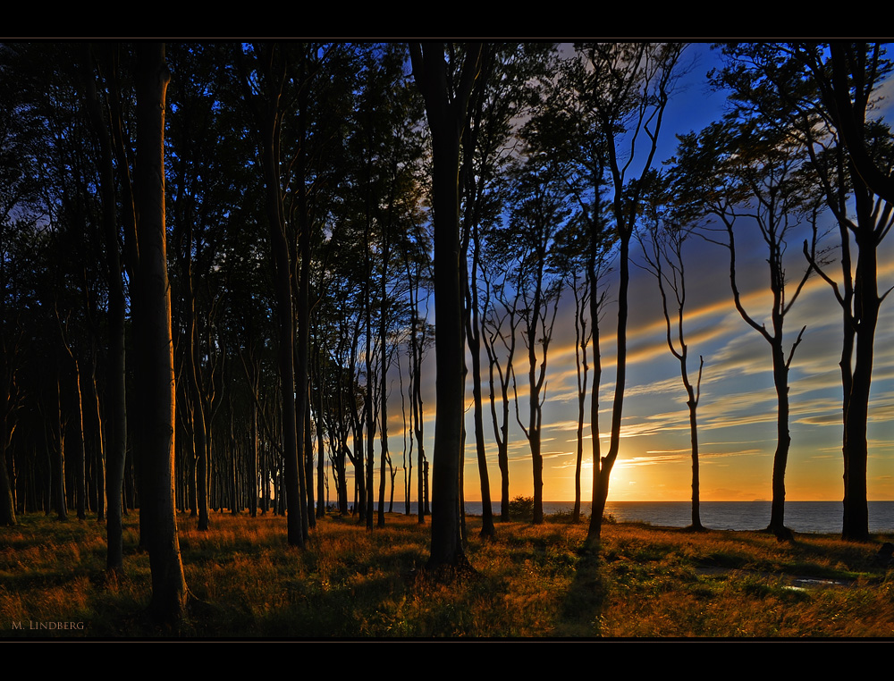 Mecklenburg- Vorpommern 03/2012