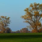 Mecklenburg-Vorpommern