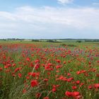 Mecklenburg-Vorpommern .............