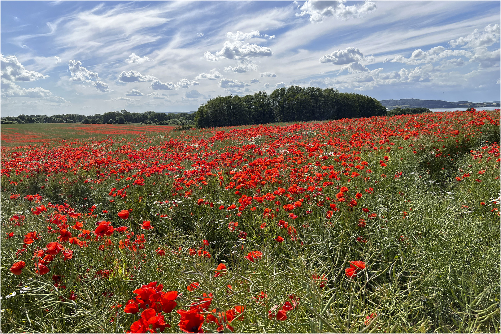 Mecklenburg-Vorpommern..