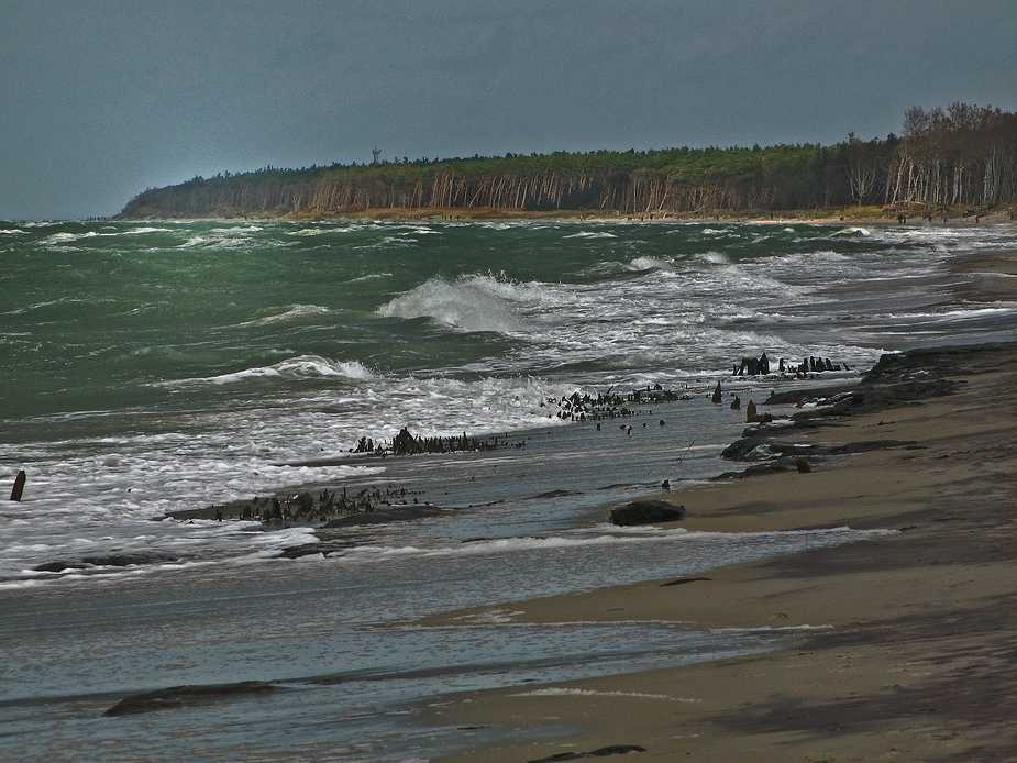 Mecklenburg-Vorpommern - Darß-ohne titel