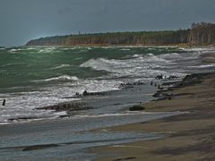 Mecklenburg-Vorpommern - Darß-ohne titel