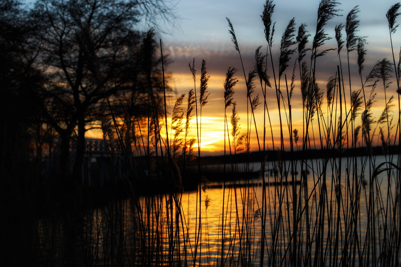 Mecklenburg Vorpommern