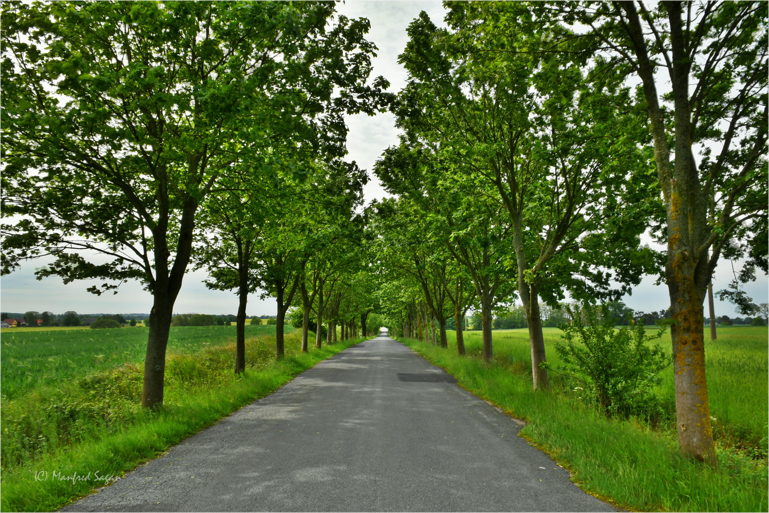 Mecklenburg-Vorpommern: Land der Alleenstraßen...