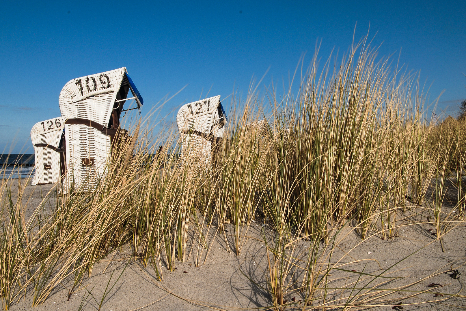 Mecklenburg-Vorpommern - Ostseestrand bei Kühlungsborn