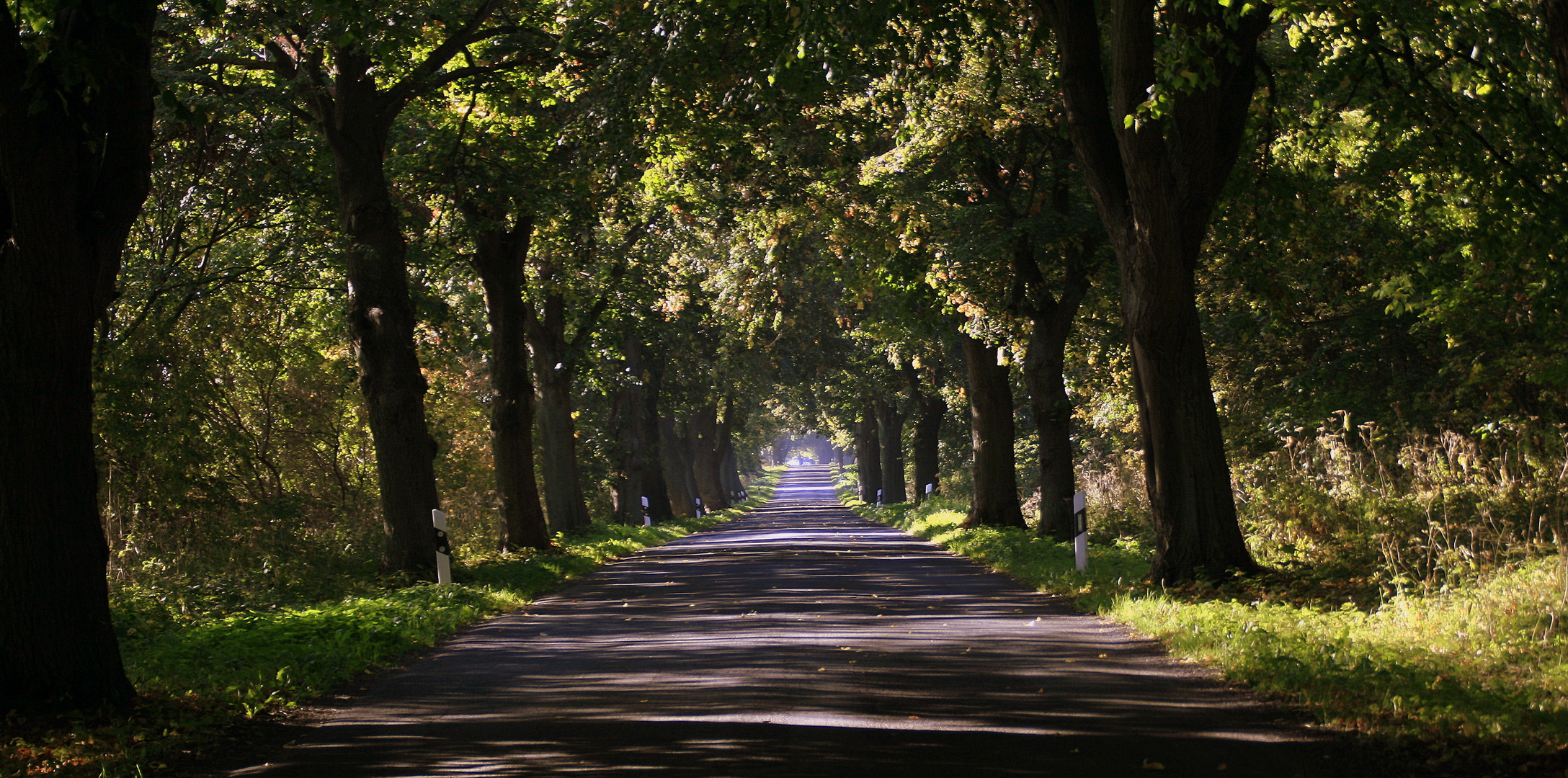 Mecklenburger Allee