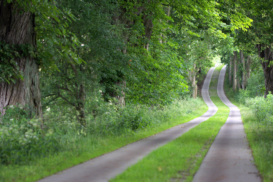 Mecklenburger Allee