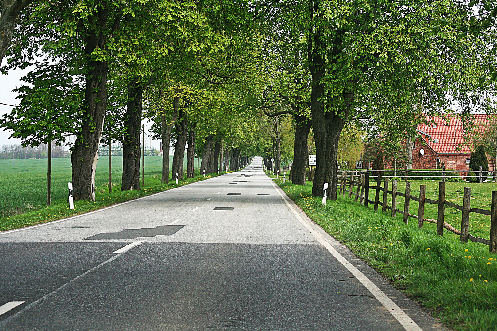 Mecklenburger Allee