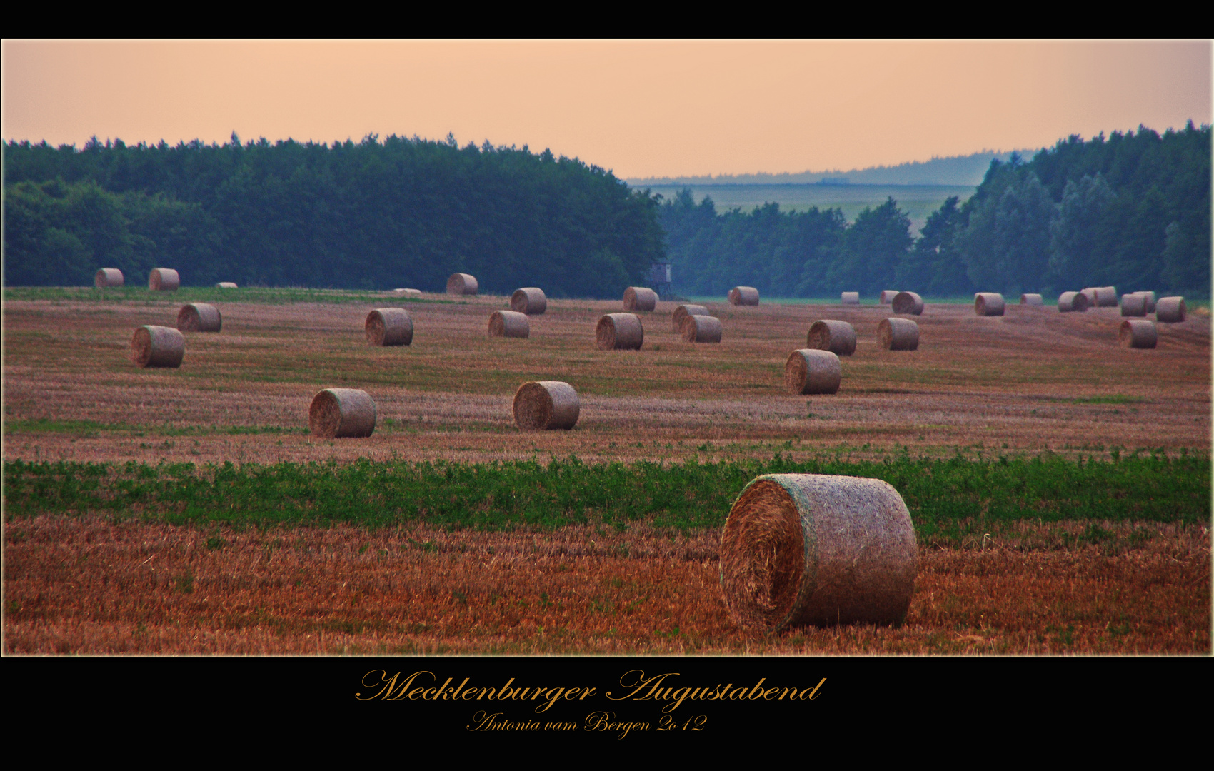 Mecklenburger Augustabend