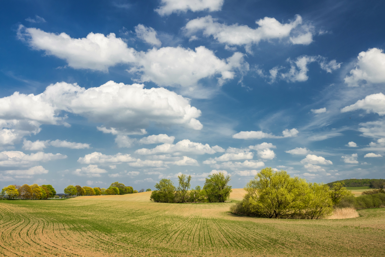 Mecklenburger Frühlingslandschaft