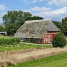 Mecklenburger Haus