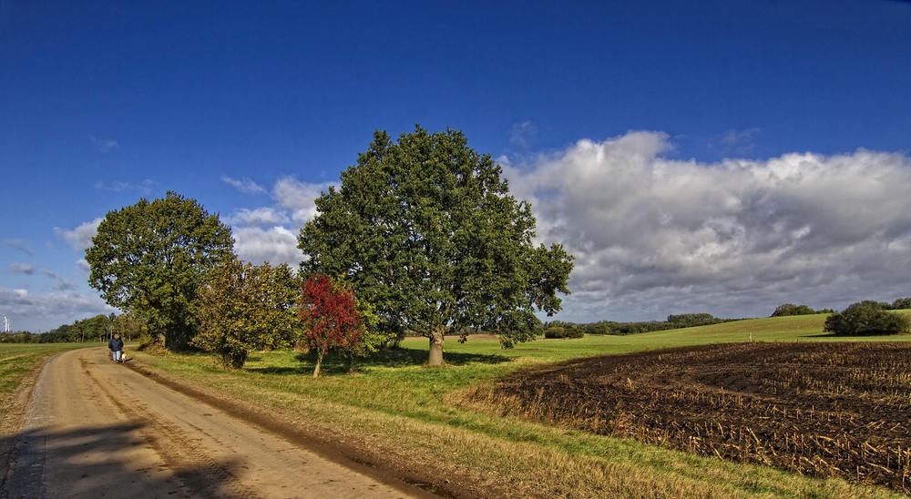 Mecklenburger-Impressionen 04