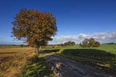 Mecklenburger-Impressionen